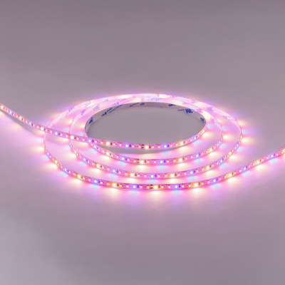 TS20250310_163122